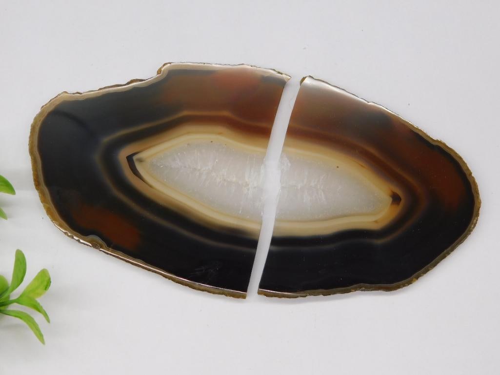 AGATE SLICE ROCK STONE LAPIDARY SPECIMEN (1 of 2)