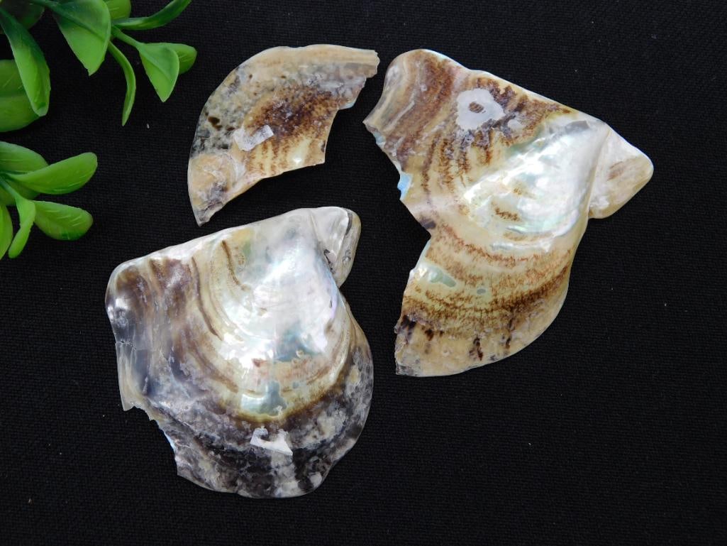 ROCK STONE LAPIDARY SPECIMEN: ROCK STONE LAPIDARY SPECIMEN