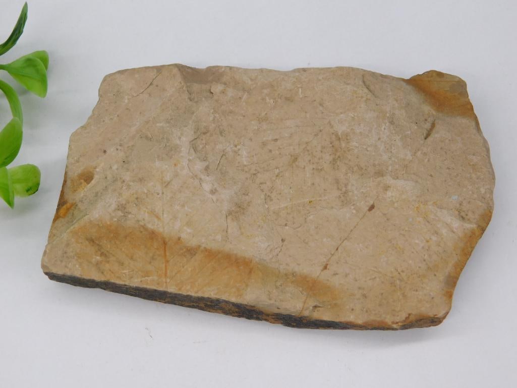ROCK STONE LAPIDARY SPECIMEN (1 of 3)