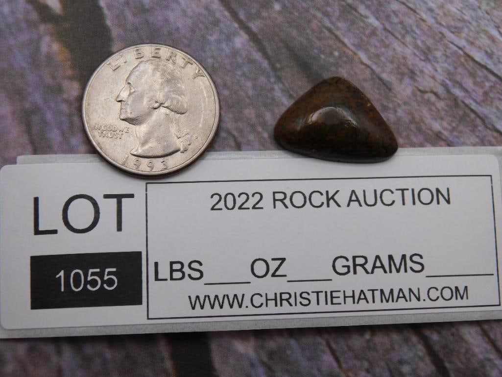 DINOSAUR BONE CABOCHON ROCK STONE LAPIDARY SPECIMEN - 2