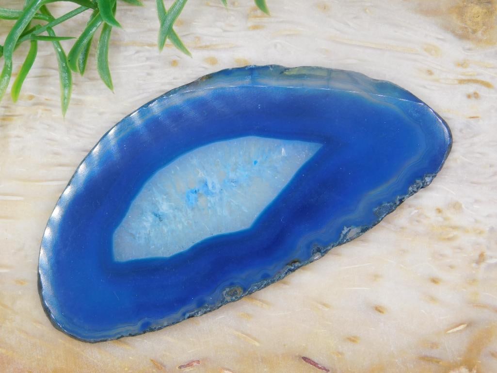 AGATE SLICE ROCK STONE LAPIDARY SPECIMEN: AGATE SLICE ROCK STONE LAPIDARY SPECIMEN