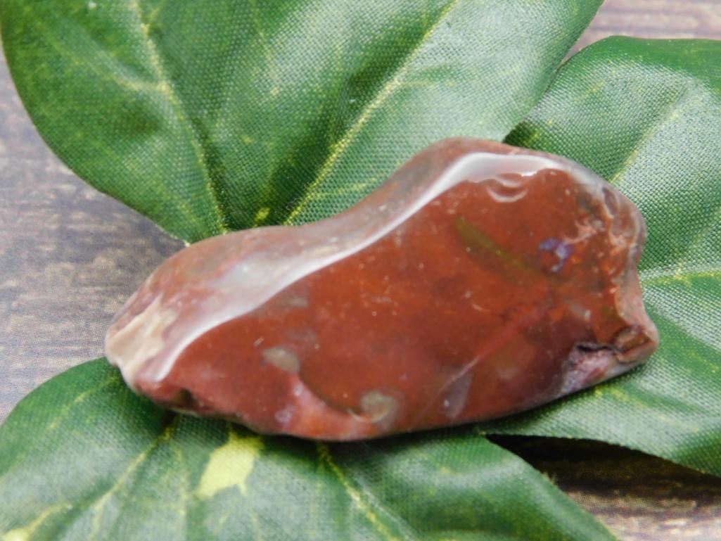 PETRIFIED WOOD ROCK STONE LAPIDARY SPECIMEN (1 of 2)