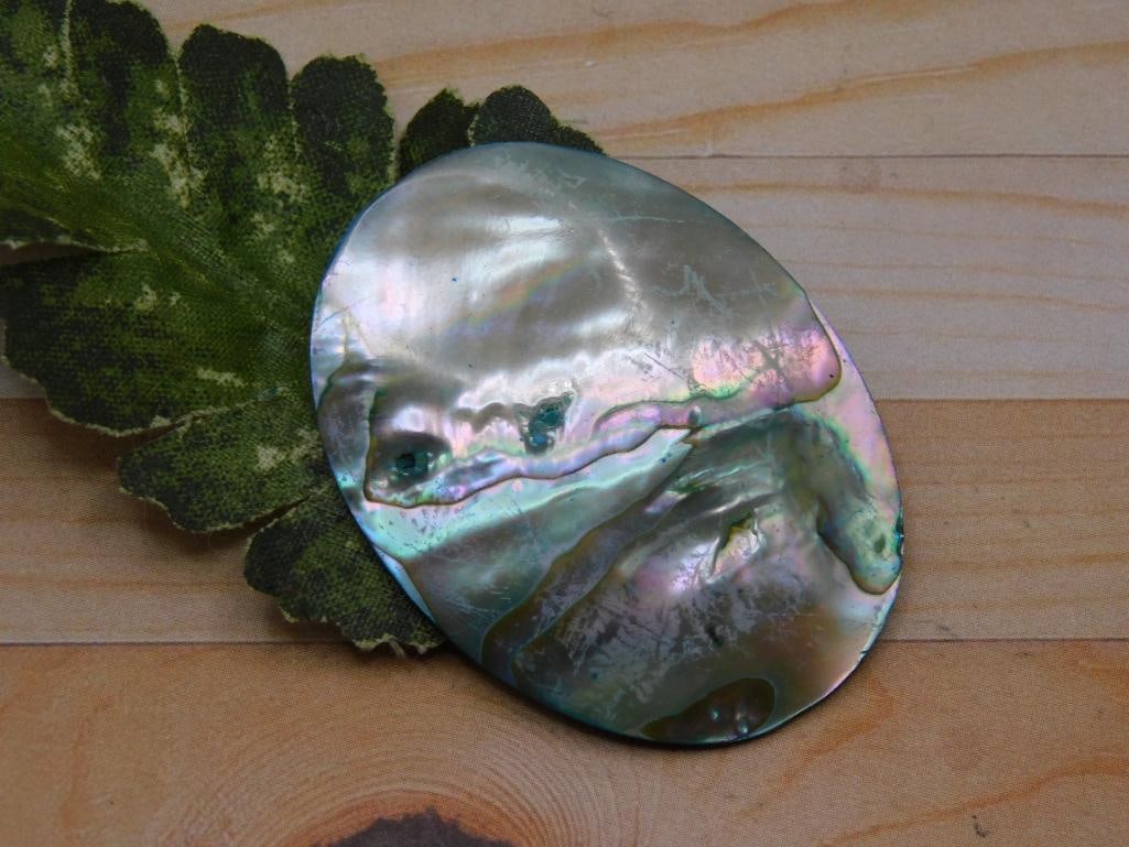 ABALONE CABOCHON ROCK STONE LAPIDARY SPECIMEN (1 of 2)