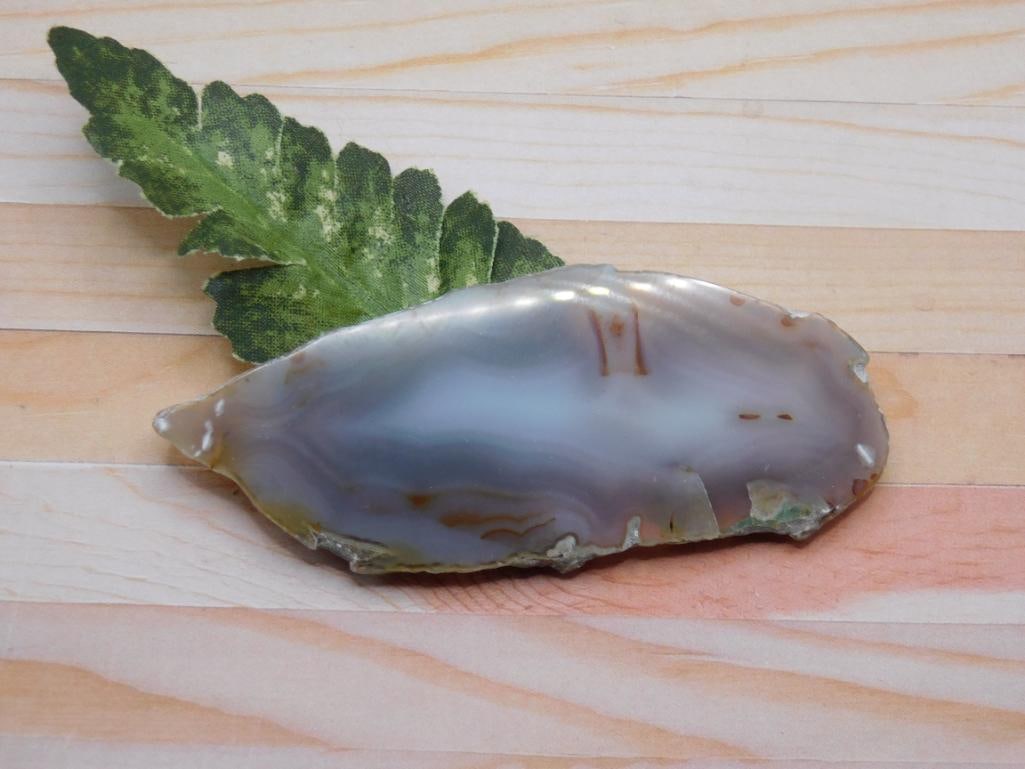 AGATE SLICE ROCK STONE LAPIDARY SPECIMEN (1 of 2)