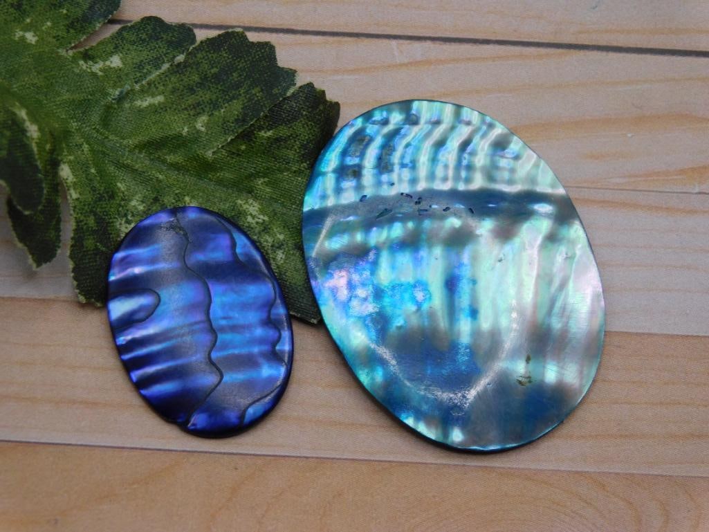 ABALONE CABOCHONS ROCK STONE LAPIDARY SPECIMEN (1 of 2)
