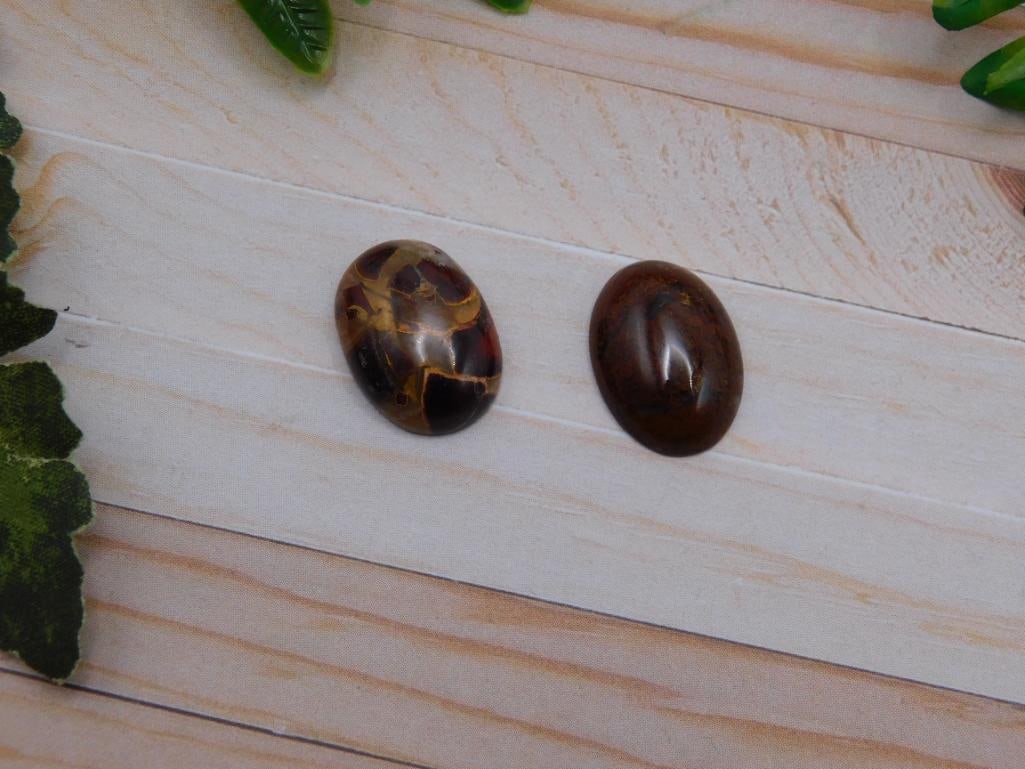 CABOCHONS ROCK STONE LAPIDARY SPECIMEN: CABOCHONS ROCK STONE LAPIDARY SPECIMEN