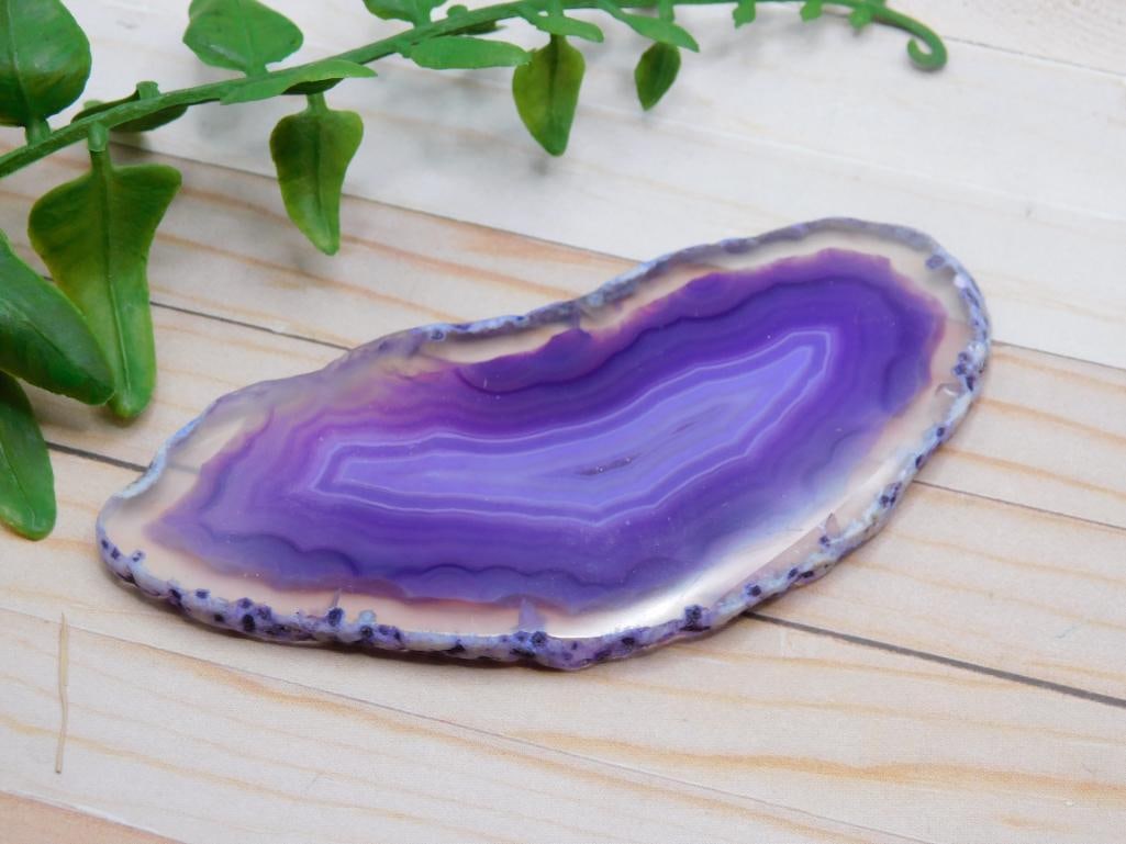 AGATE SLICE ROCK STONE LAPIDARY SPECIMEN: AGATE SLICE ROCK STONE LAPIDARY SPECIMEN