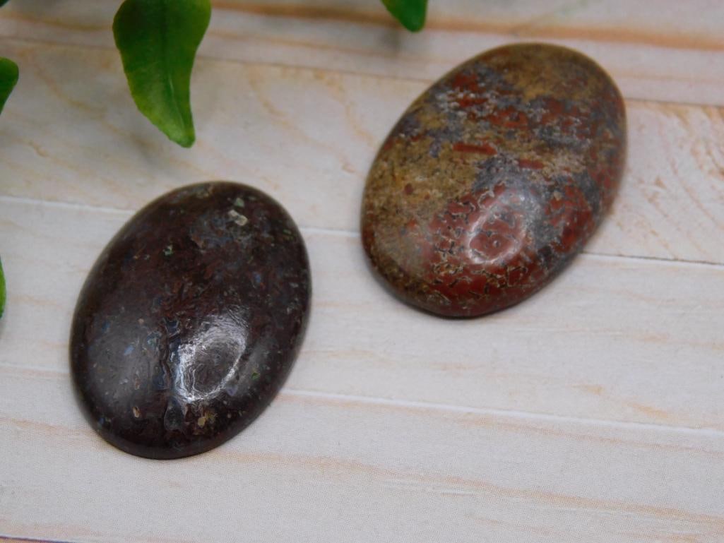 DINOSAUR BONE CABOCHONS ROCK STONE LAPIDARY SPECIMEN (1 of 2)