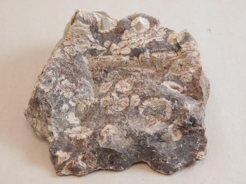 RHYOLITE ROCK STONE LAPIDARY SPECIMEN (1 of 2)