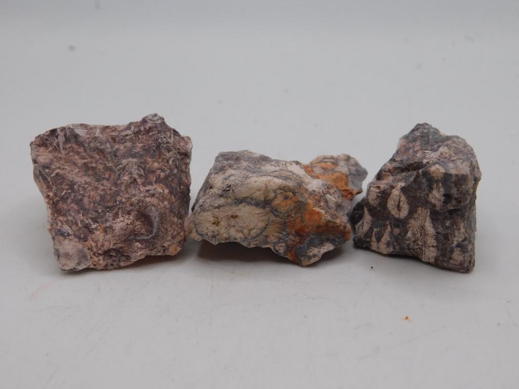 RHYOLITE ROCK STONE LAPIDARY SPECIMEN (1 of 3)