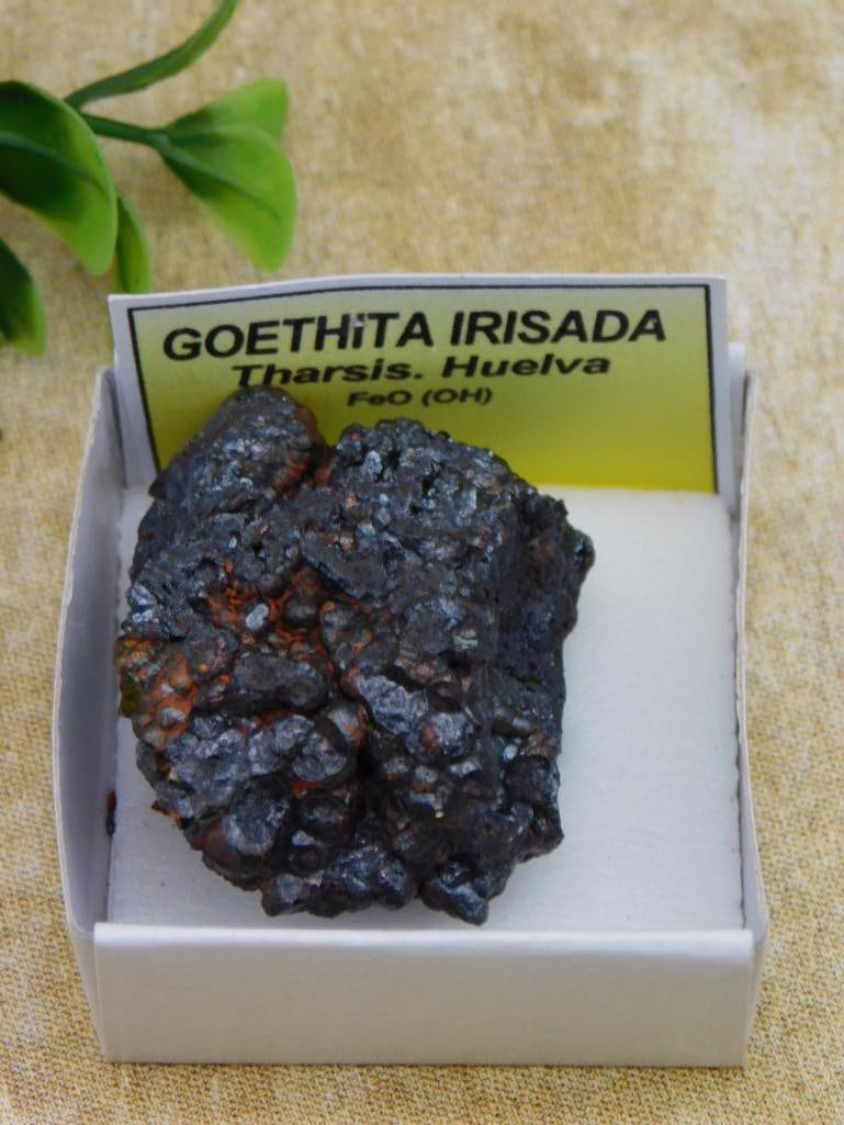 GOETHITA IRISADA ROCK STONE LAPIDARY SPECIMEN: GOETHITA IRISADA ROCK STONE LAPIDARY SPECIMEN