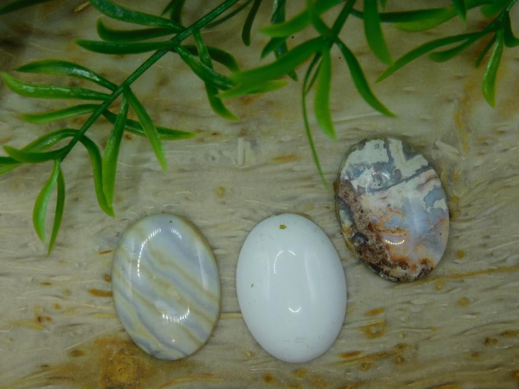 CABOCHONS ROCK STONE LAPIDARY SPECIMEN: CABOCHONS ROCK STONE LAPIDARY SPECIMEN