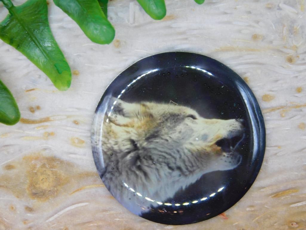 WOLF CABOCHON ROCK STONE LAPIDARY SPECIMEN: WOLF CABOCHON ROCK STONE LAPIDARY SPECIMEN