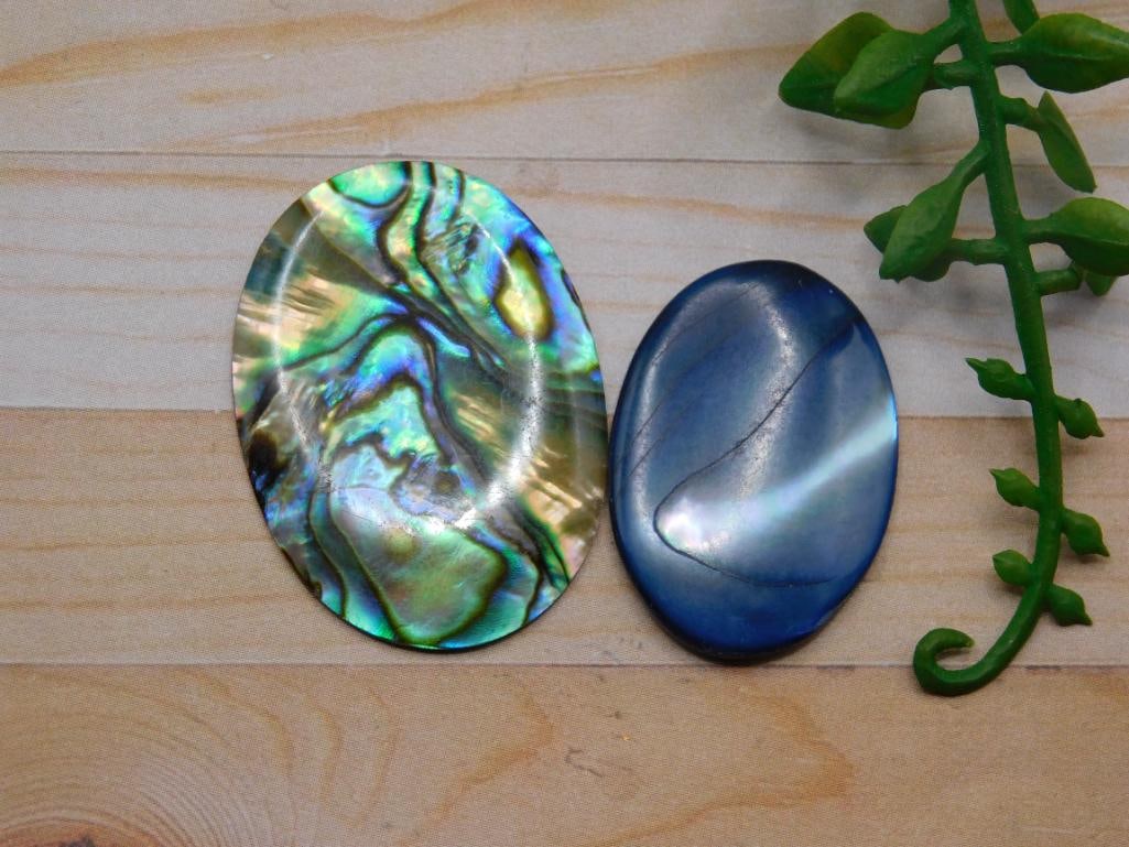 ABALONE CABOCHONS ROCK STONE LAPIDARY SPECIMEN (1 of 2)