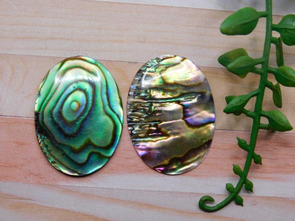 ABALONE CABOCHONS ROCK STONE LAPIDARY SPECIMEN: ABALONE CABOCHONS ROCK STONE LAPIDARY SPECIMEN