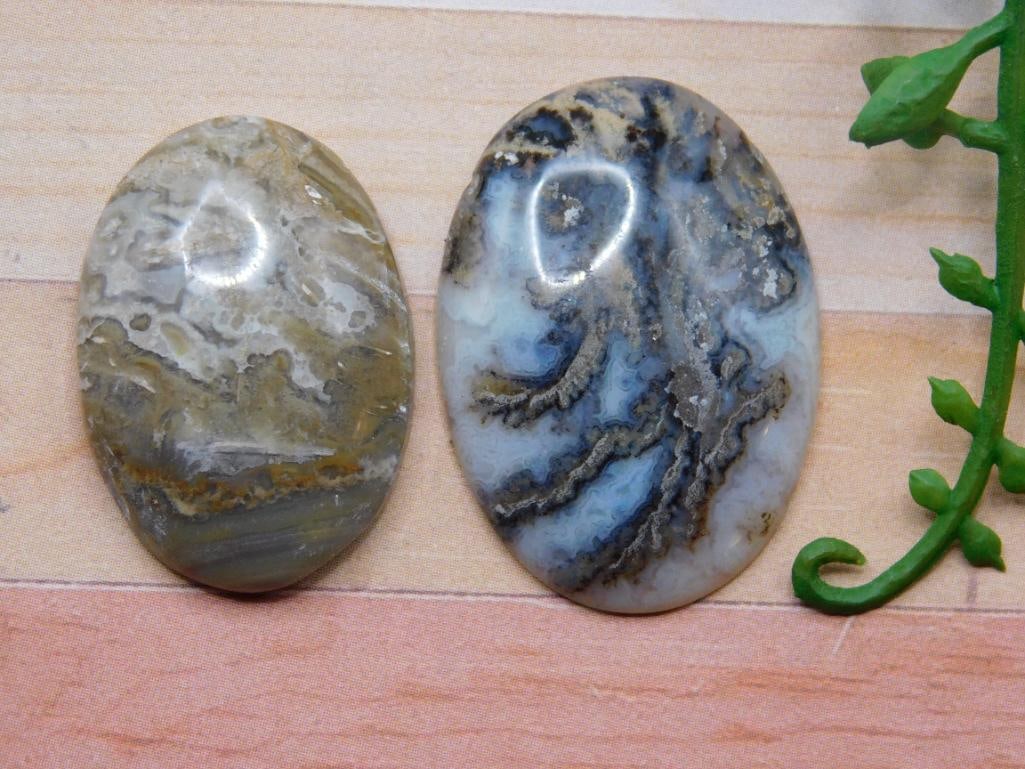 CABOCHONS ROCK STONE LAPIDARY SPECIMEN (1 of 2)