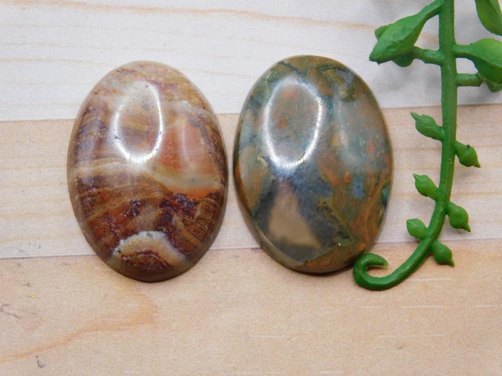 CABOCHONS ROCK STONE LAPIDARY SPECIMEN (1 of 2)