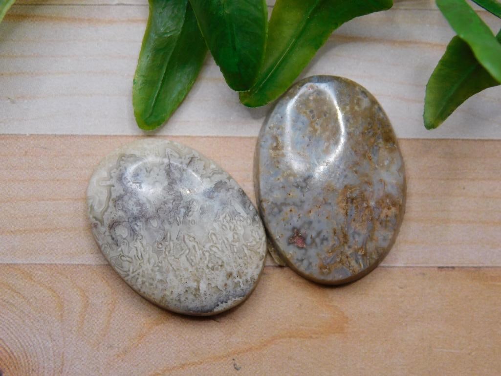 MEXICAN LACE CABOCHONS ROCK STONE LAPIDARY SPECIMEN: MEXICAN LACE CABOCHONS ROCK STONE LAPIDARY SPECIMEN