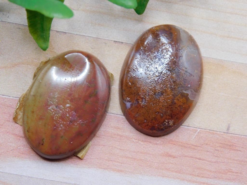 CABOCHONS ROCK STONE LAPIDARY SPECIMEN (1 of 2)