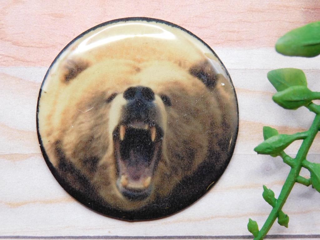 BEAR CABOCHON ROCK STONE LAPIDARY SPECIMEN: BEAR CABOCHON ROCK STONE LAPIDARY SPECIMEN