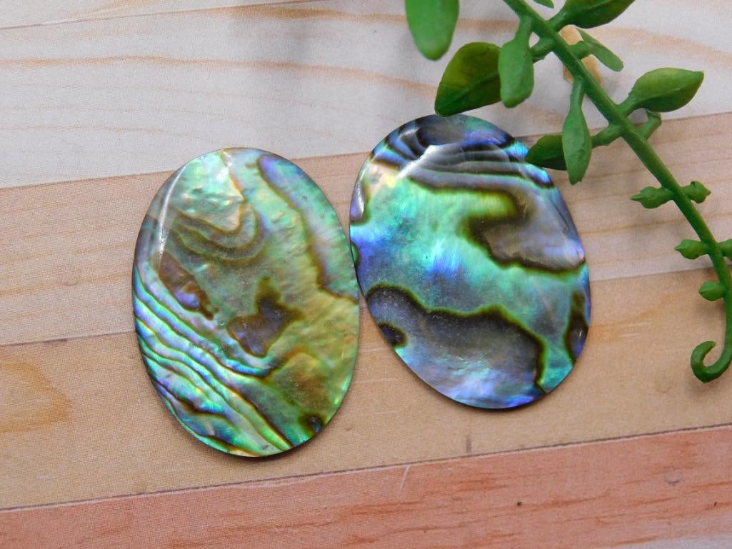 ABALONE CABOCHONS ROCK STONE LAPIDARY SPECIMEN (1 of 2)