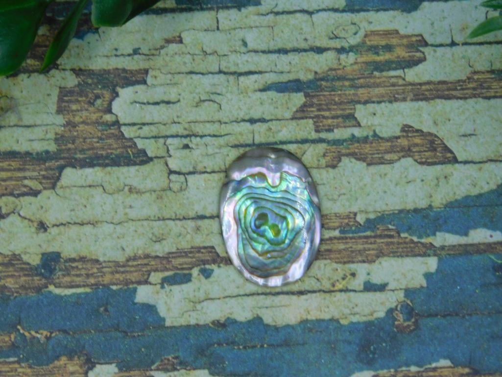 ABALONE CABOCHON ROCK STONE LAPIDARY SPECIMEN (1 of 3)