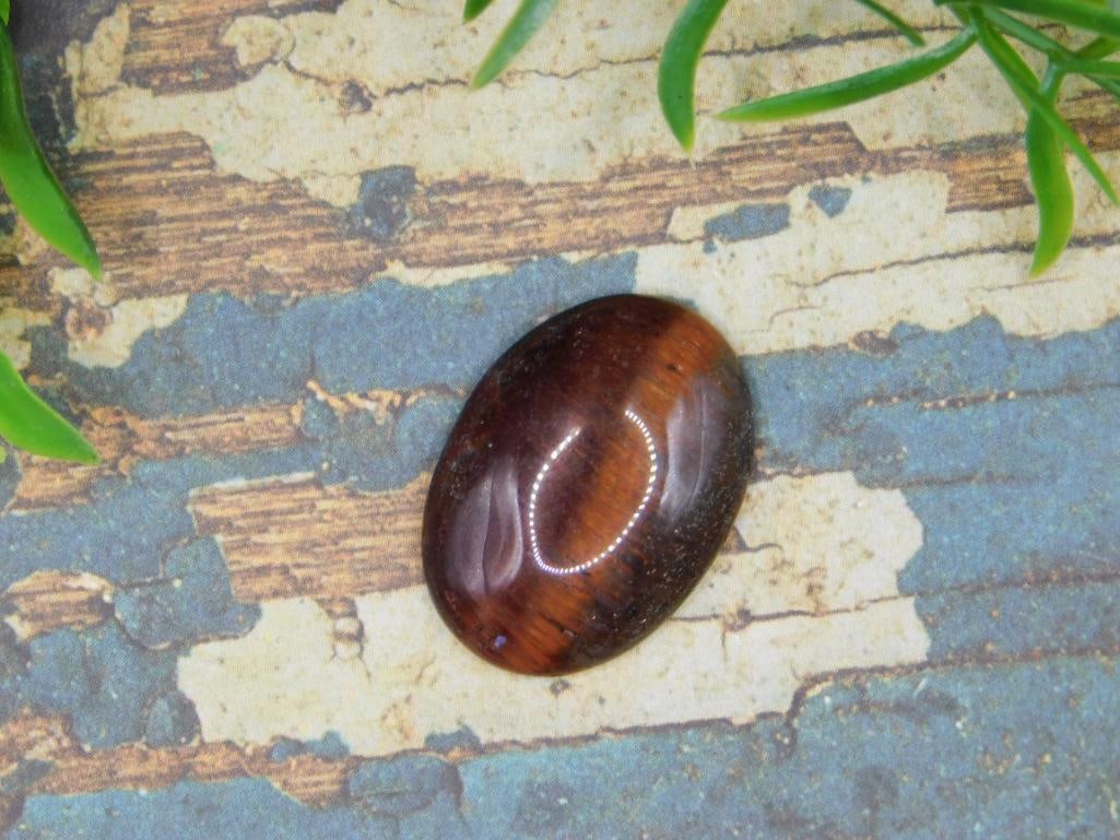 MAHOGANY TIGERS EYE CABOCHON ROCK STONE LAPIDARY SPECIMEN: MAHOGANY TIGERS EYE CABOCHON ROCK STONE LAPIDARY SPECIMEN