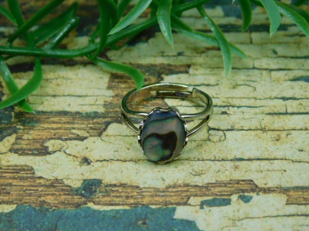 ABALONE RING ROCK STONE LAPIDARY SPECIMEN: ABALONE RING ROCK STONE LAPIDARY SPECIMEN