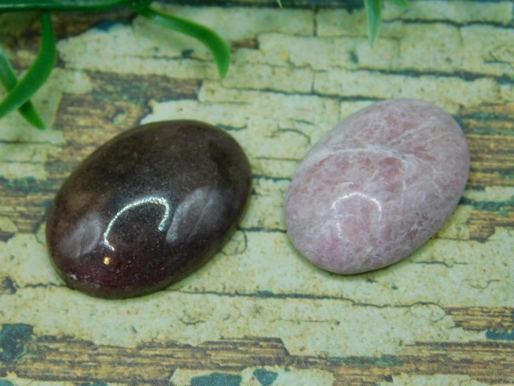 CABOCHONS ROCK STONE LAPIDARY SPECIMEN (1 of 3)