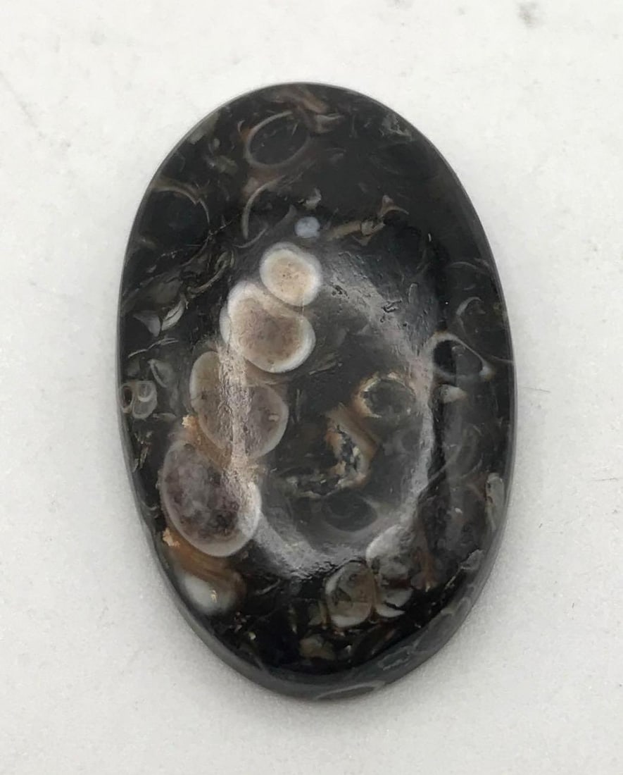 JEWELRY ROCK STONE LAPIDARY SPECIMEN (1 of 2)