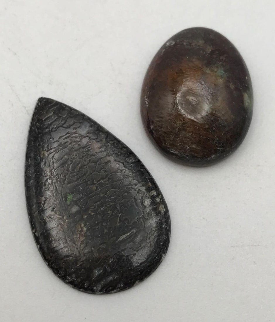 DINOSAUR BONE CAB: DINOSAUR BONE CAB