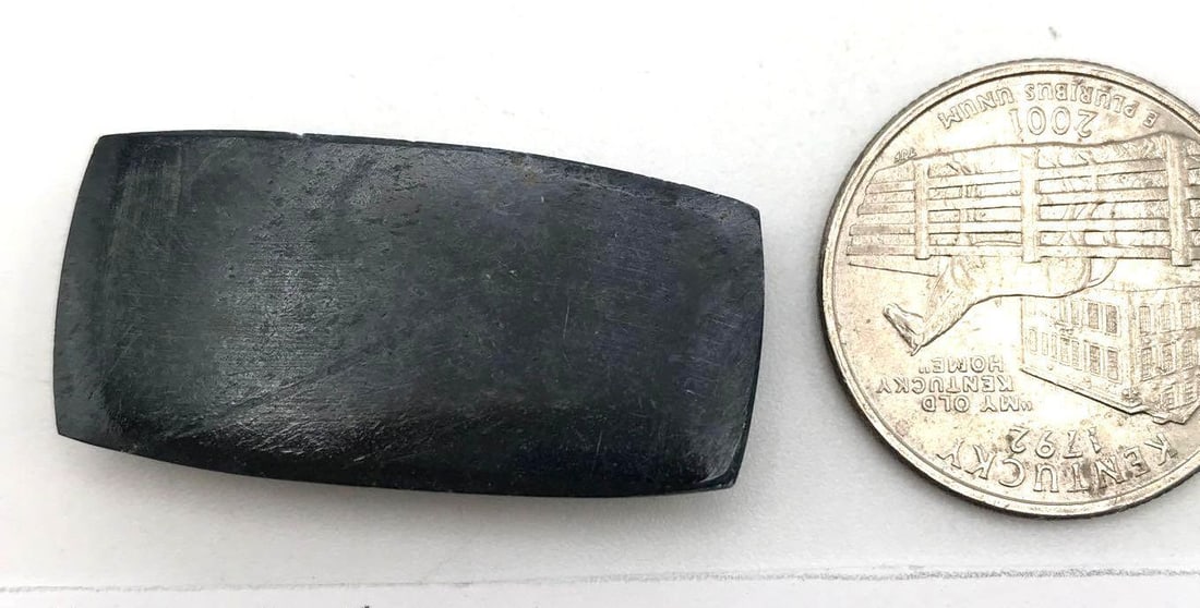 DINOSAUR BONE CAB - 2