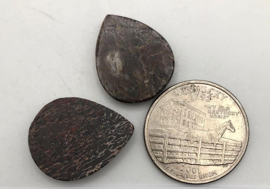 DINOSAUR BONE CAB - 2