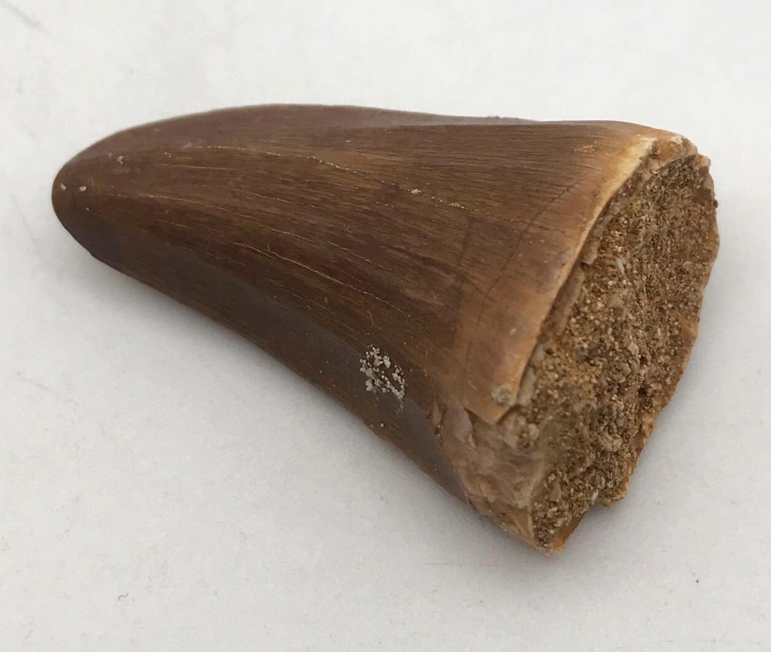 JEWELRY ROCK STONE LAPIDARY SPECIMEN (1 of 2)