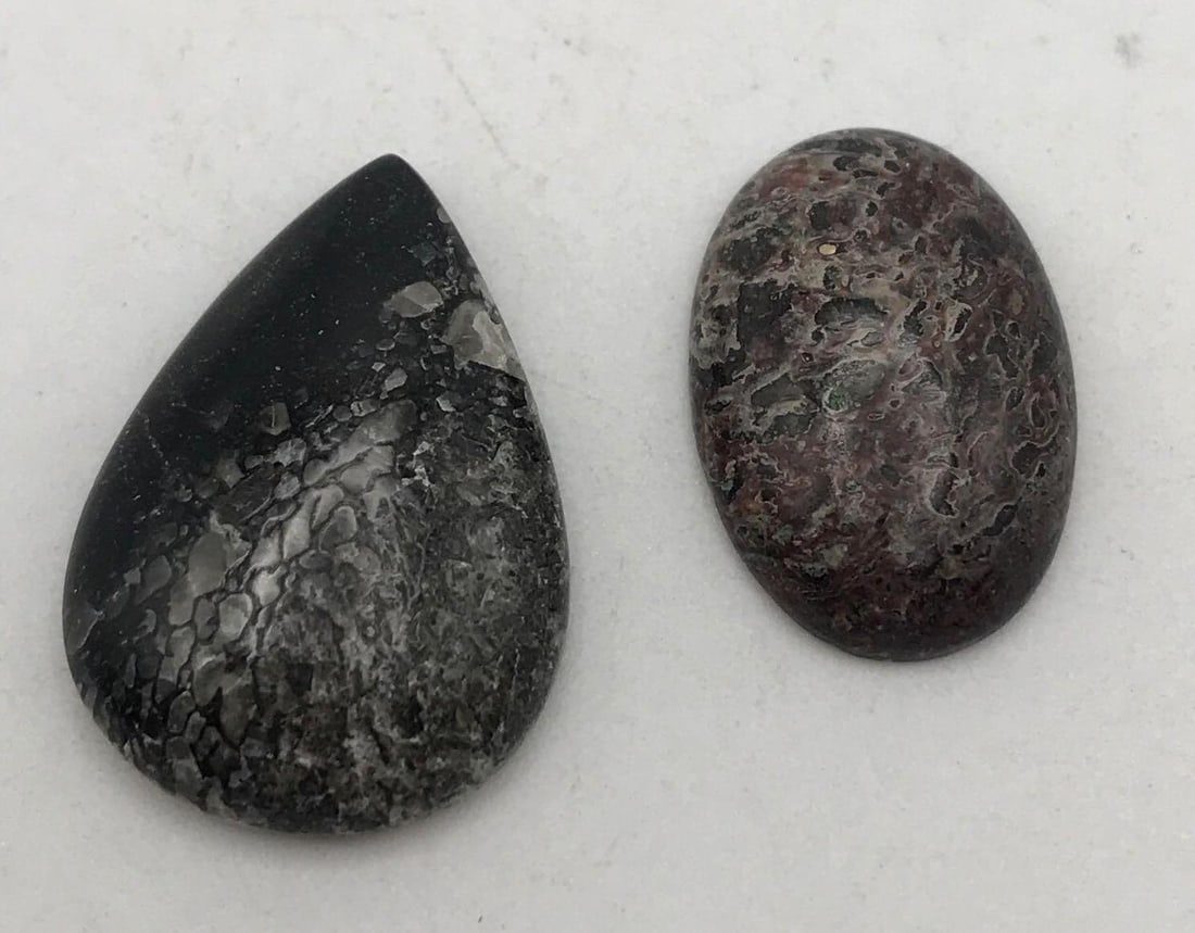 DINOSAUR BONE CAB: DINOSAUR BONE CAB