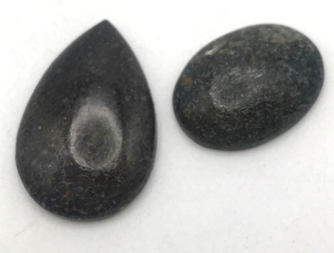 DINOSAUR BONE CAB: DINOSAUR BONE CAB