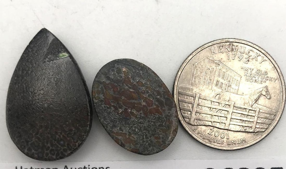 DINOSAUR BONE CAB - 2