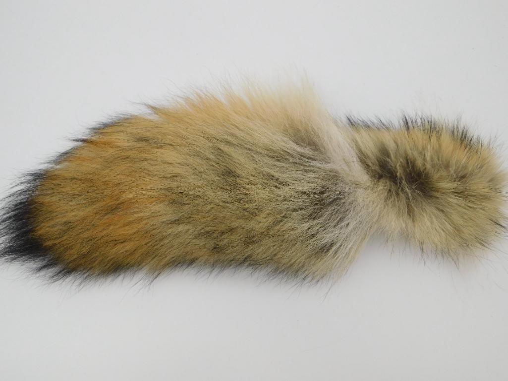 RED FOX TAIL TAXIDERMY ROCK STONE LAPIDARY SPECIMEN: RED FOX TAIL TAXIDERMY ROCK STONE LAPIDARY SPECIMEN