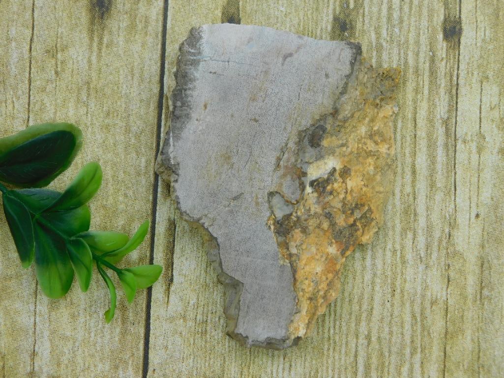 ROCK STONE LAPIDARY SPECIMEN (1 of 2)