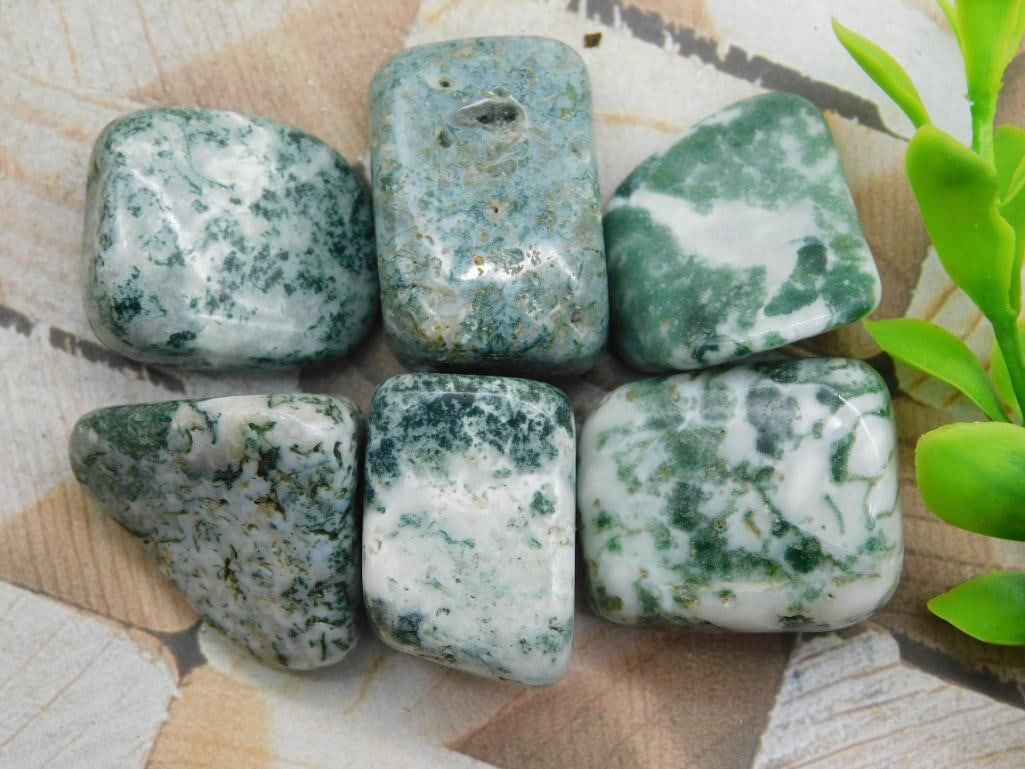 TREE AGATE ROCK STONE LAPIDARY SPECIMEN (1 of 2)