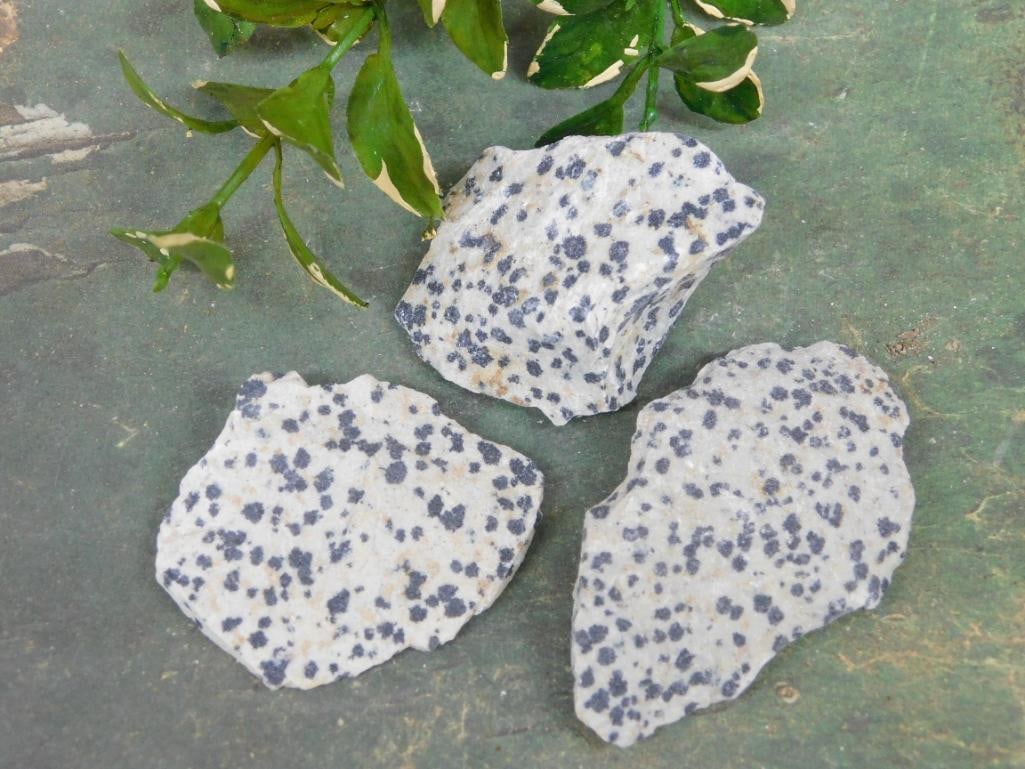 DALMATION JASPER ROCK STONE LAPIDARY SPECIMEN: DALMATION JASPER ROCK STONE LAPIDARY SPECIMEN