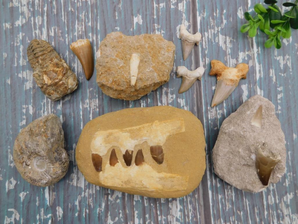 MIXED LOT ROCK STONE LAPIDARY SPECIMEN (1 of 5)