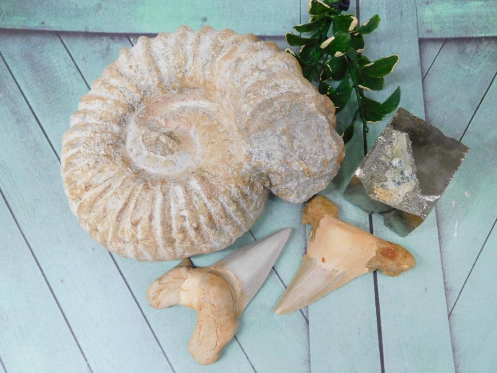 MIXED LOT ROCK STONE LAPIDARY SPECIMEN: MIXED LOT ROCK STONE LAPIDARY SPECIMEN