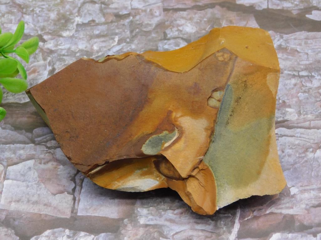 JASPER ROCK STONE LAPIDARY SPECIMEN (1 of 2)