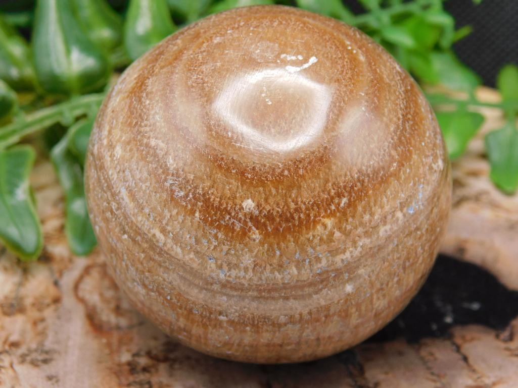 JEWELRY SALE! ROCK STONE LAPIDARY SPECIMEN (1 of 2)