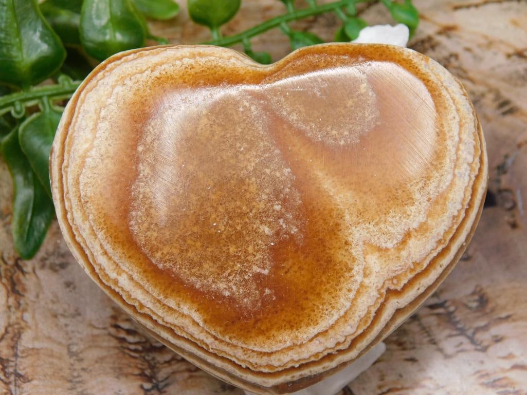 JEWELRY SALE! ROCK STONE LAPIDARY SPECIMEN: JEWELRY SALE! ROCK STONE LAPIDARY SPECIMEN