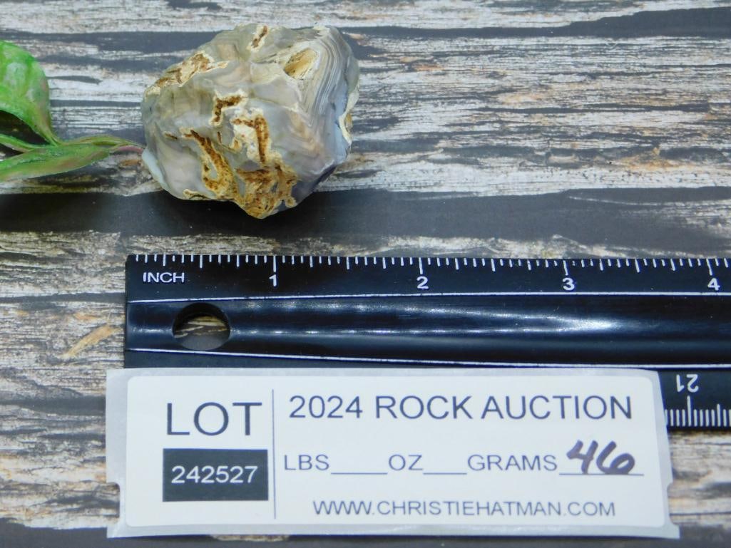ROCK STONE LAPIDARY SPECIMEN - 2