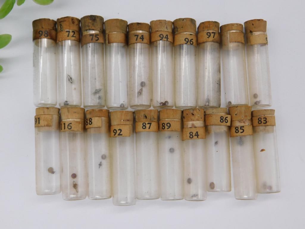 Numbered Vintage Specimen Vials With Cork Stoppers WATCHMAKER WATCHMAKING TOOLS: Numbered Vintage Specimen Vials With Cork Stoppers WATCHMAKER WATCHMAKING TOOLS