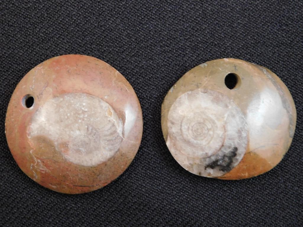 AMMONITE PENDANTS ROCK STONE LAPIDARY SPECIMEN (1 of 2)