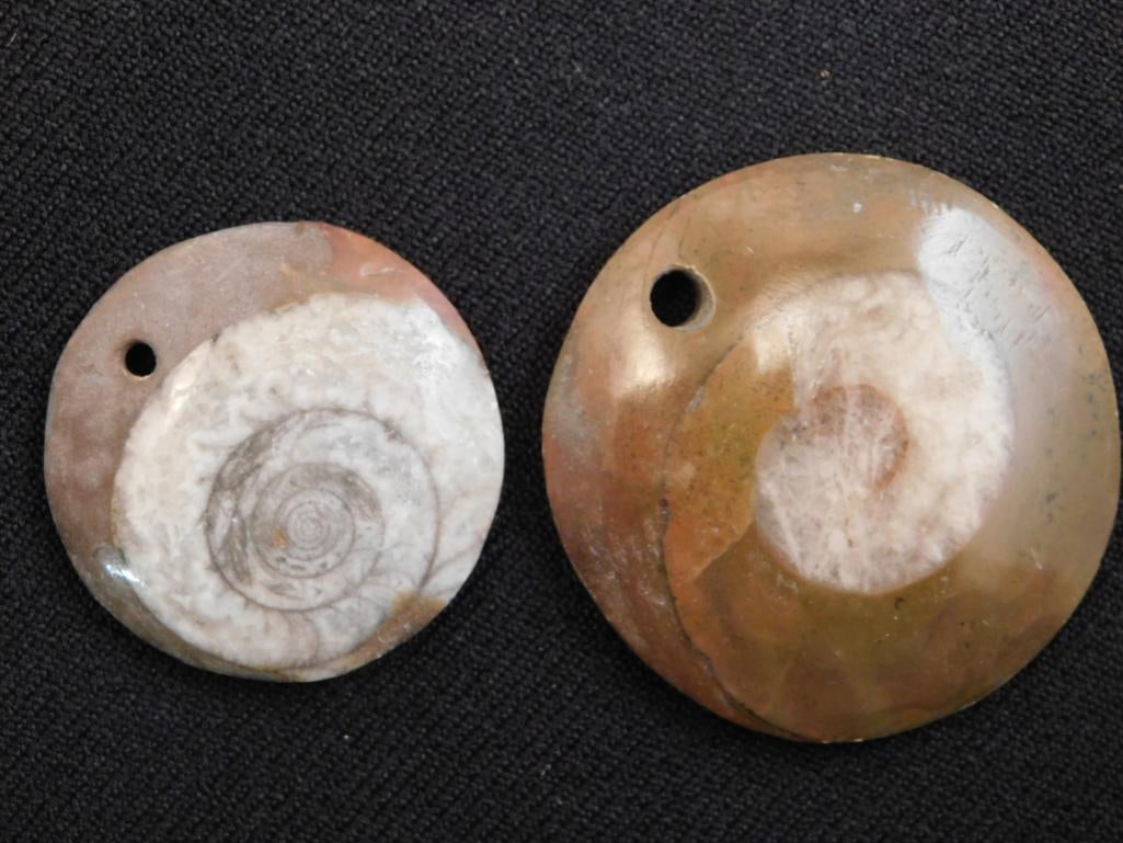 AMMONITE PENDANTS ROCK STONE LAPIDARY SPECIMEN (1 of 2)